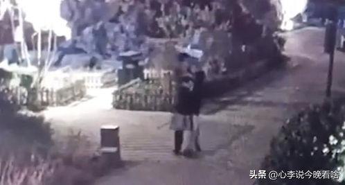 吃真瓜视频完整版,一场视觉与味觉的双重盛宴