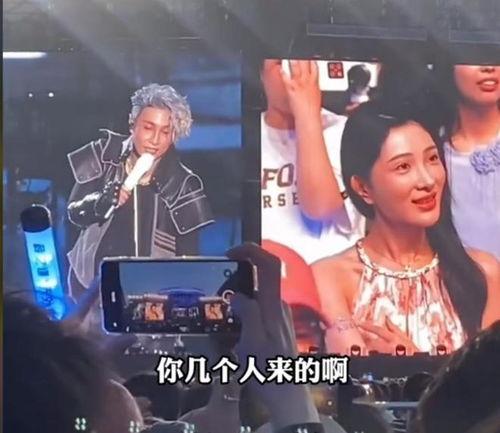 吃瓜视频演唱会,狂欢之夜，星光熠熠