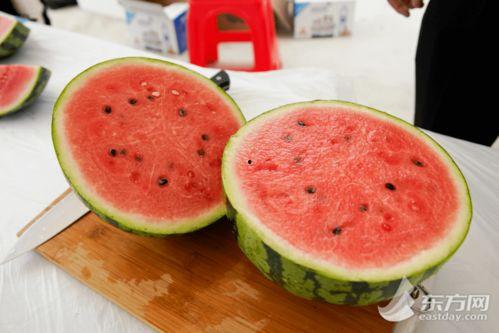 全国吃瓜视频在哪里看,一网打尽热门吃瓜平台