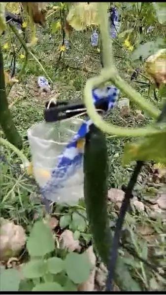 带你吃瓜推荐割草视频,带你吃瓜推荐精选