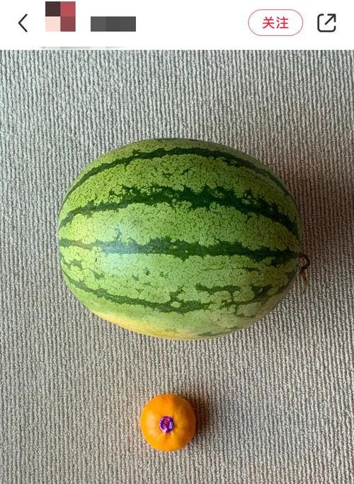 老外吃中国石硒瓜的视频,惊艳味蕾的神奇果实之旅