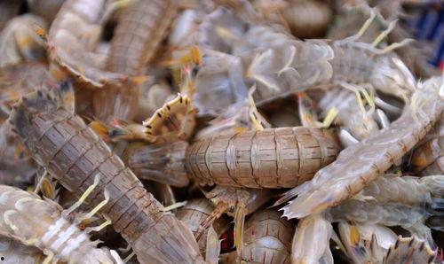 皮皮虾吃瓜囧事视频,笑料百出，欢乐无限