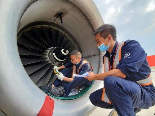 飞机吃瓜视频,揭秘飞机上那些令人捧腹的“吃瓜”瞬间