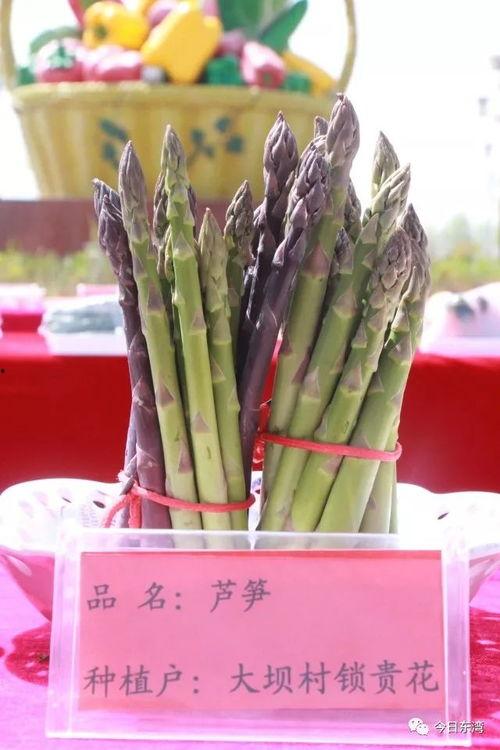 五一假期群众吃瓜视频